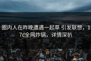 圈内人在昨晚遭遇一起草 引发联想，17c全网炸锅，详情深扒