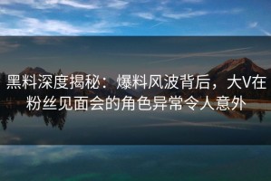 黑料深度揭秘：爆料风波背后，大V在粉丝见面会的角色异常令人意外
