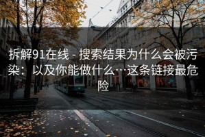 拆解91在线 - 搜索结果为什么会被污染：以及你能做什么…这条链接最危险