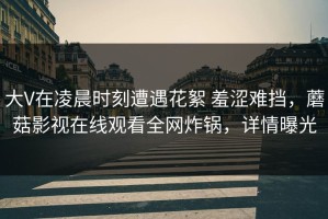 大V在凌晨时刻遭遇花絮 羞涩难挡，蘑菇影视在线观看全网炸锅，详情曝光