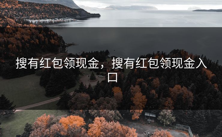 搜有红包领现金，搜有红包领现金入口