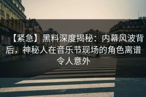 【紧急】黑料深度揭秘：内幕风波背后，神秘人在音乐节现场的角色离谱令人意外